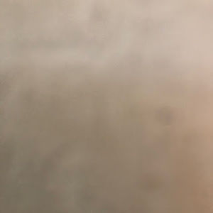 Meet your Posher, Zia